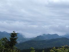 -武陵山森林公园