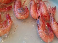 -黑松白鹿(金融街店)