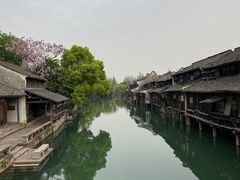 -乌镇西栅景区