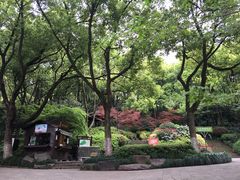 -杭州半山国家森林公园