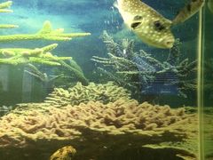 -泉州海丝野生动物世界