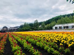 -富田农场