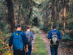 -南京市无想山景区