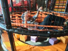 -VFSC极限蹦床主题公园(乐园道彩悦城阳光店)