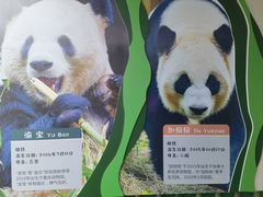 -无锡动物园·太湖欢乐园
