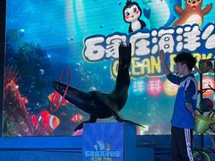 -石家庄海洋公园