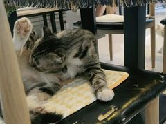 -平行世界·猫咖(首经贸店)