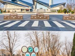 -盐城丹顶鹤湿地生态旅游区