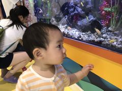 -中国宋庆龄青少年科技文化交流中心