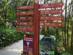 -广西壮族自治区药用植物园