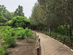 -晋祠博物馆
