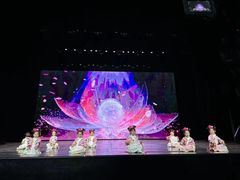 -北京梧桐树双语幼儿园