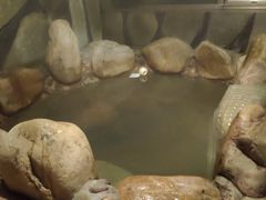 -北京72度温泉度假民宿