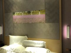 -麗枫酒店(长沙步行街南门口地铁站店)