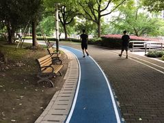 -苏州河梦清园环保主题公园