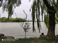-西安浐灞国家湿地公园