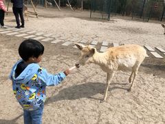 -北京麋鹿生态实验中心