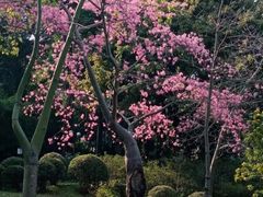 -晓港公园