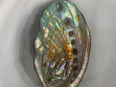 -雅逸居海鲜小厨