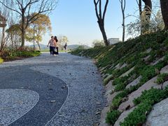 -渤公岛生态公园