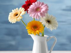 -Refn油画丨零基础定制油画