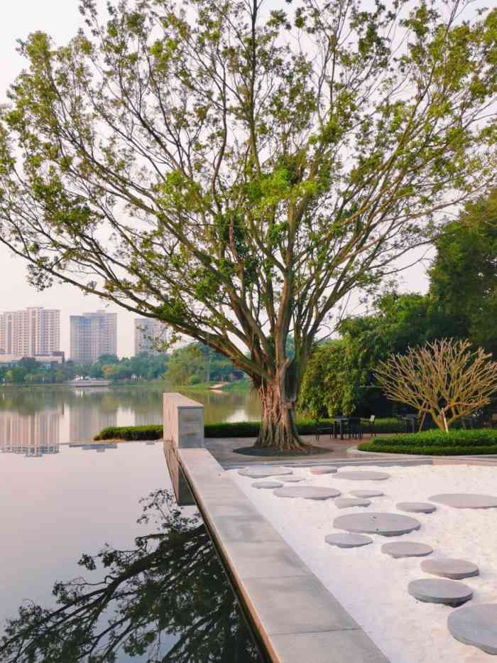 绿地樾湖-"趁着太阳躲起来了,大雨也还没到,台风天去..."-大众点评移
