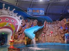-烟台海昌鲸鲨海洋公园