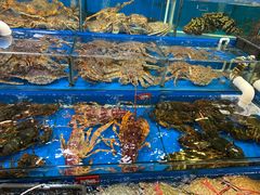 -京深海鲜市场(光彩路店)