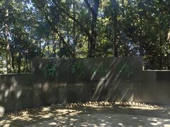 -云碧峰国家森林公园