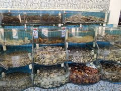 -仙螺岛海鲜自助餐厅(总店)