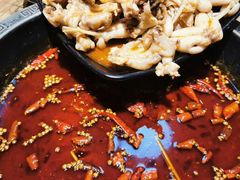 美蛙-销魂美蛙鱼头火锅(上海首店)