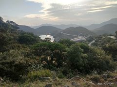 -大姆山草场