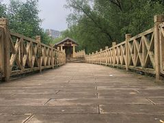 -大亚湾红树林城市湿地公园