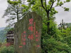 -碧峰峡风景区