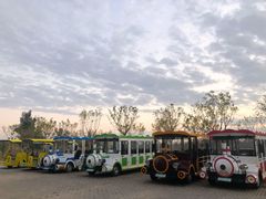 -漩门湾国家湿地公园