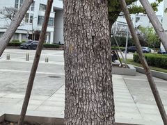-上海大学(宝山校区)