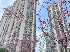 -苏州河梦清园环保主题公园