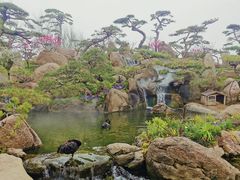 -罗红摄影艺术馆