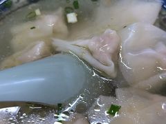 -九斤黄三黄鸡专卖店