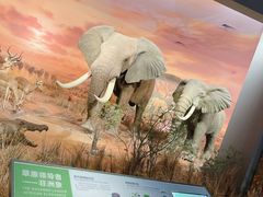 -扬州科技馆