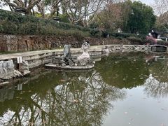-范蠡湖公园