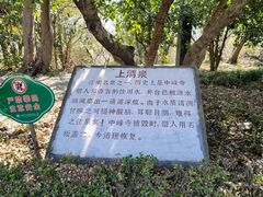 -上海佘山国家森林公园天马山园