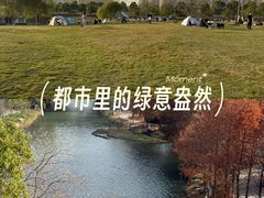 -洋湖国家湿地公园
