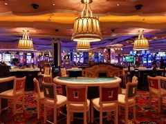 -拉斯维加斯永利酒店