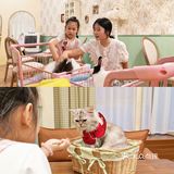 长沙萌宠集合店,一次性撸6种动物20个品种