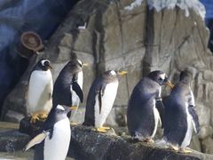 -成都浩海立方海洋公园