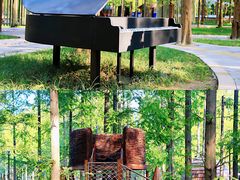 -黄海国家森林公园