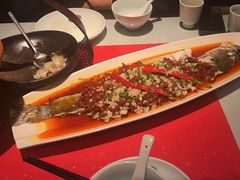 -春色如许·茶食餐厅(桃李春风店)