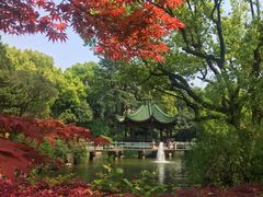 -申粤轩酒楼·三十年粤菜经典(丁香花园店)