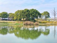 -新江湾城公园